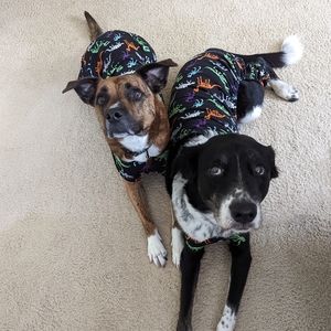 Target Hyde and Eek dino skeleton Halloween Dog PJs